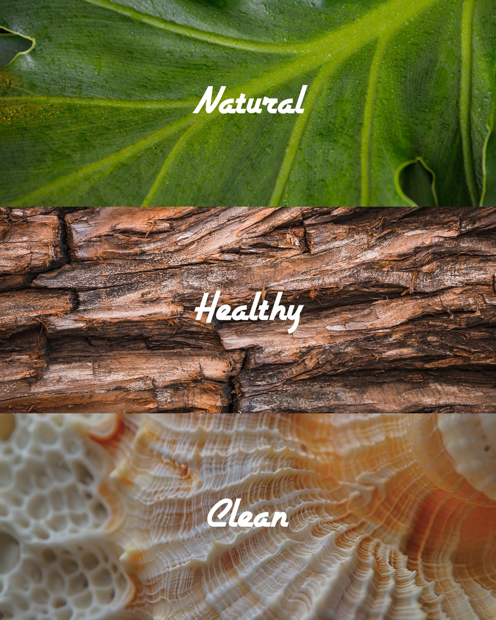 A Brand that Aspires to be as Clean as Nature.